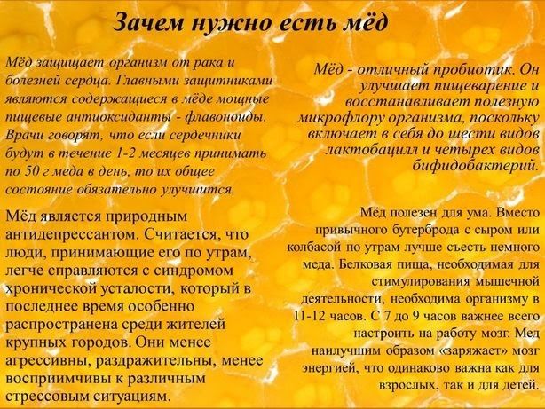 Мёд . Расторопша с подсолнухом.