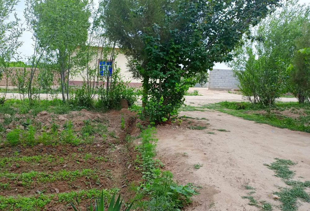 Салиобод м бахористон 1 -куча