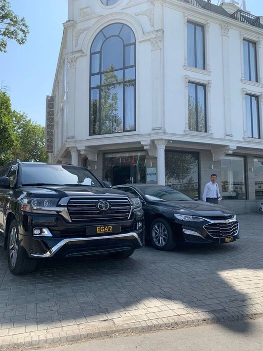 Аренда машин | Прокат авто | Ijara avto | Rent Car