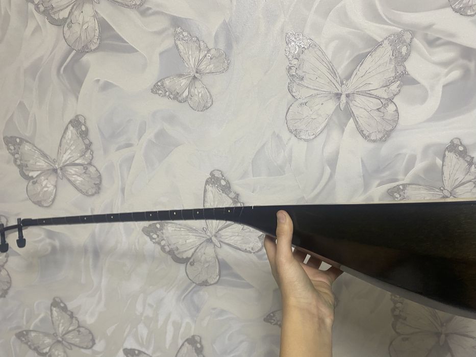 Домбыра черный свет