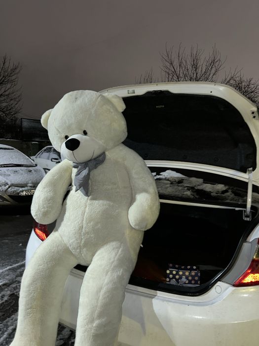 Большой мишка по