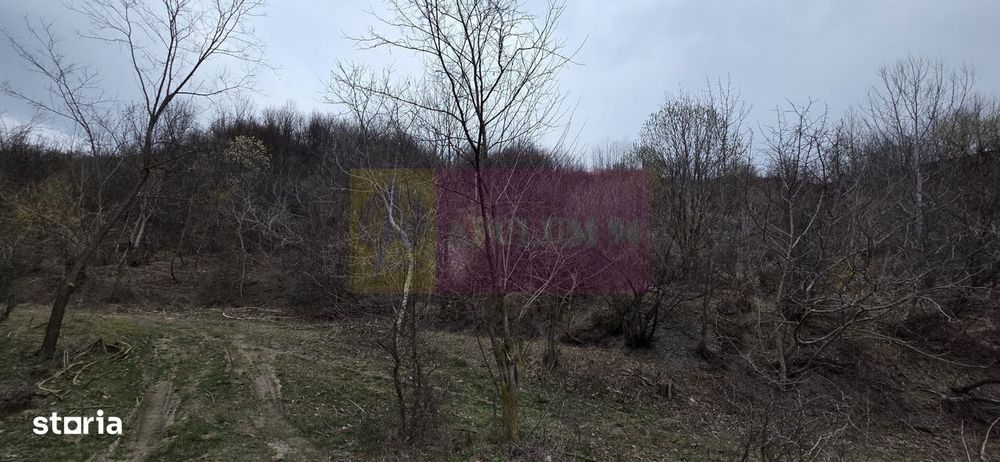 Teren de vanzare in Brebu - Raul Doftana