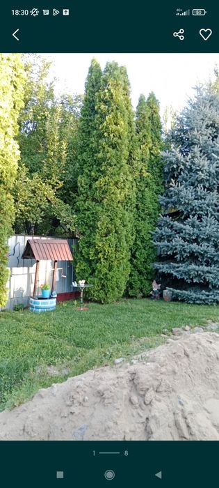 Продам дом срочно