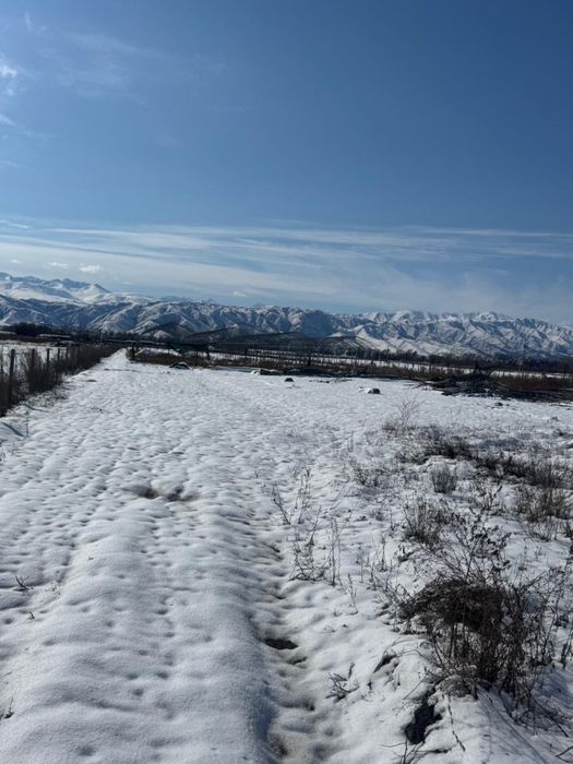 Дайын жылыжай бизнесі сатылады!