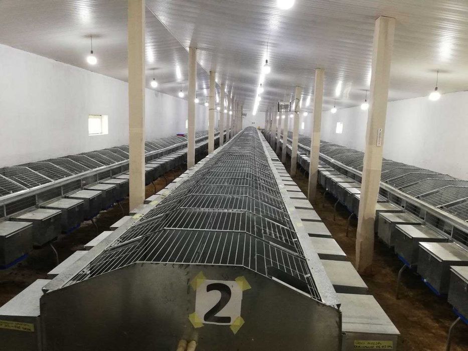 Клетки для кроликов "Клетка маточная-двухэтажная КМ-2" куён кафаслари