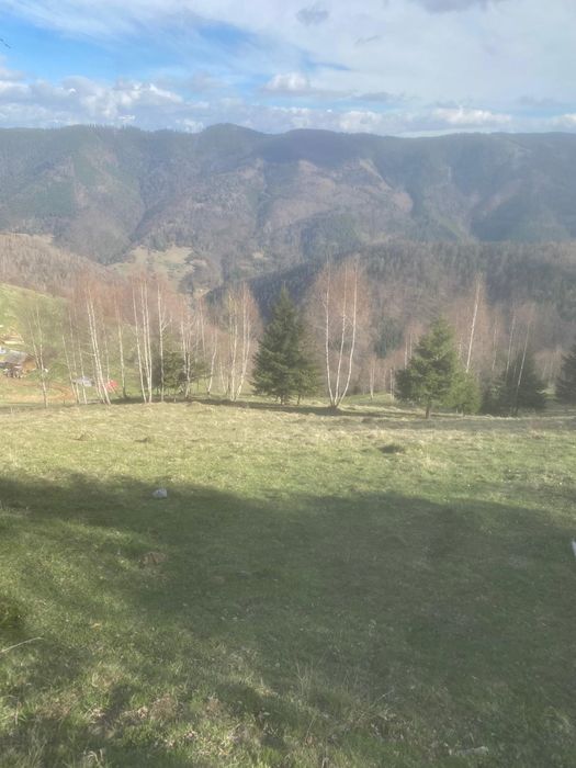 Teren intravilan