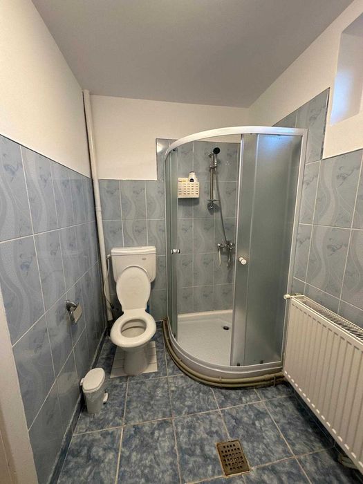Casa de inchiriat in Rosiorii de Vede