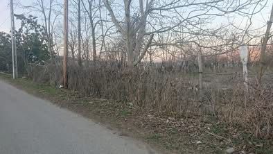 Vând teren intravilan!