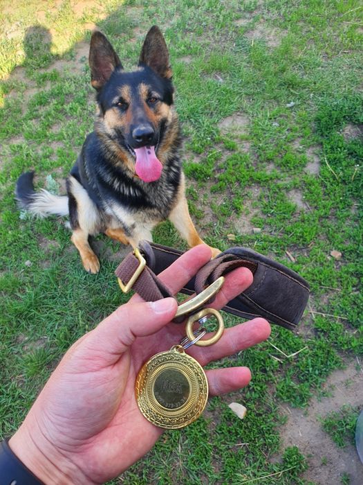 Вязка немец, кабель