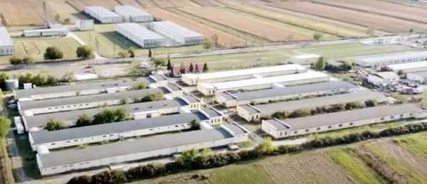hale de inchiriat in Soimus la 2 km de intrarea pe autostrada