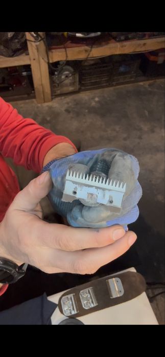 Ascut cutite masina de tuns