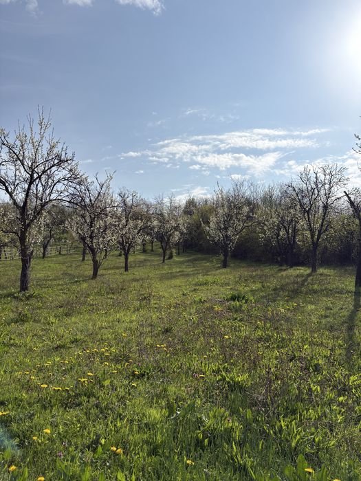 TEREN + CASĂ + LIVADĂ | 5200 mp ideal investietie sau locuinta