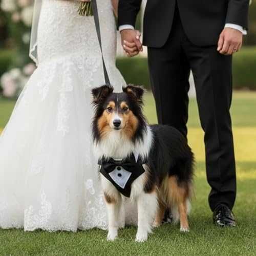 Нов Подплатен регулируем нагръдник смокинг с повод за малки кучета М размер