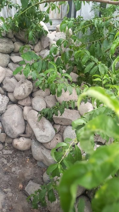 Продам камни (2 тонны) Самовывоз