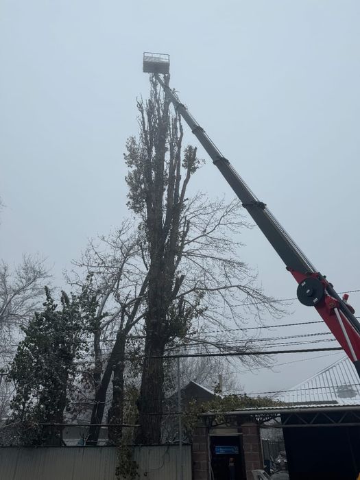 Автовышка Аренда