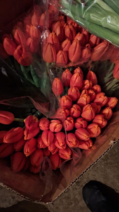 Тюльпаны  букеты  с доставкой по городу