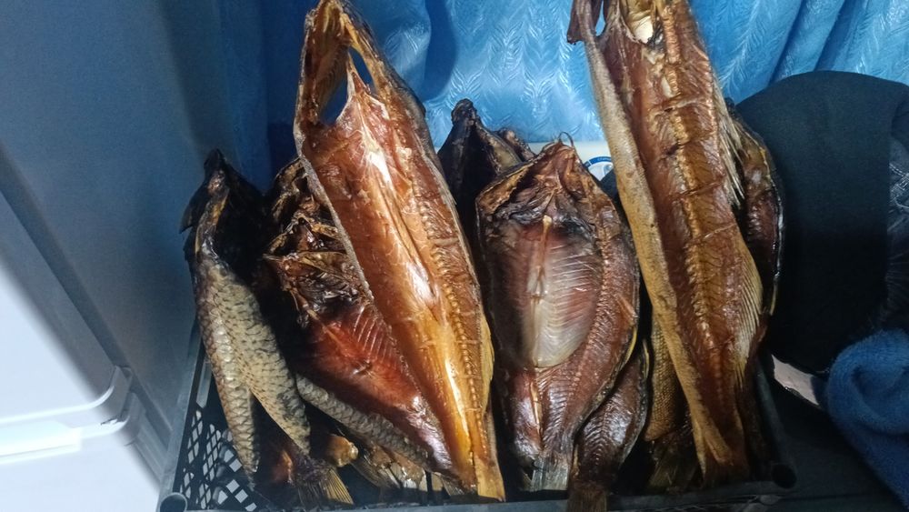 Капченыи балық халодныи капчения