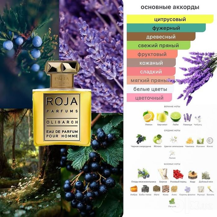 Roja oligarch premium