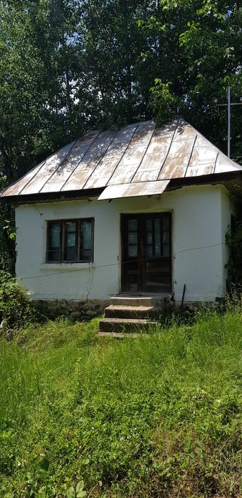 29.000mp lângă Curtea de Argeș, 2 căsuțe, curent electric și apă rețea