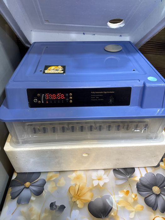 срочна инкубатор хитой автомат