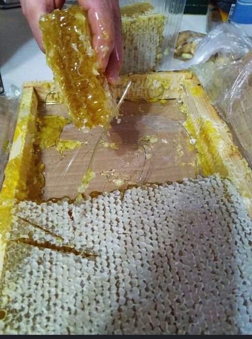 Мед Восточный Казахстан