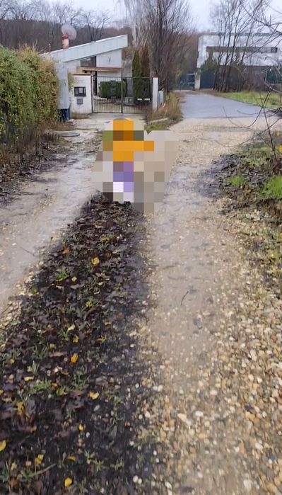 Teren Ciolpani langa lac și pădure Zona Snagov