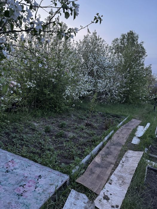 Сдам дачу СО Автомобилист 32 улица