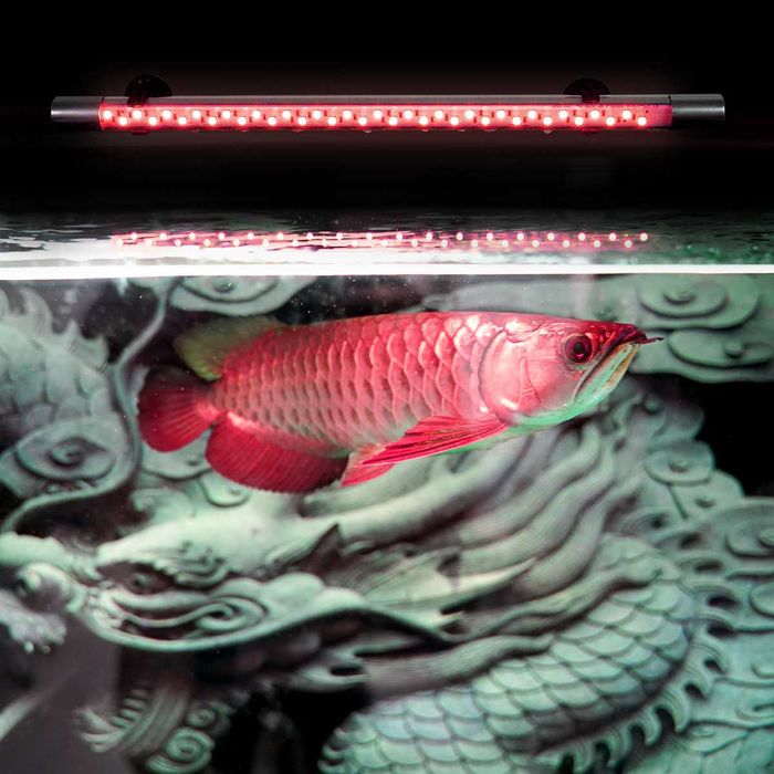 Arowana Лампочка для аквариума