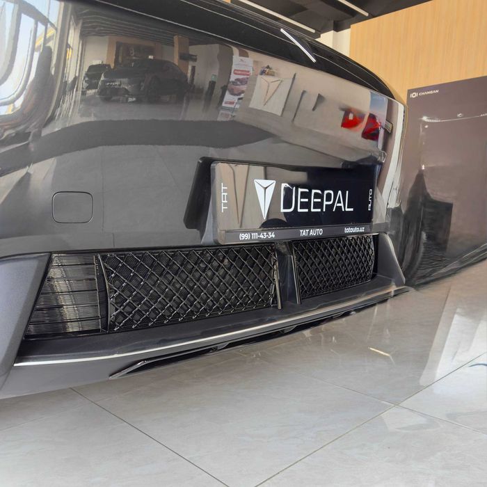 Radiator zashita Deepal S05 || Решетка защита радиатора Deepal S05