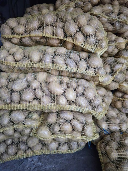 Продавам картофи сорт сорая
