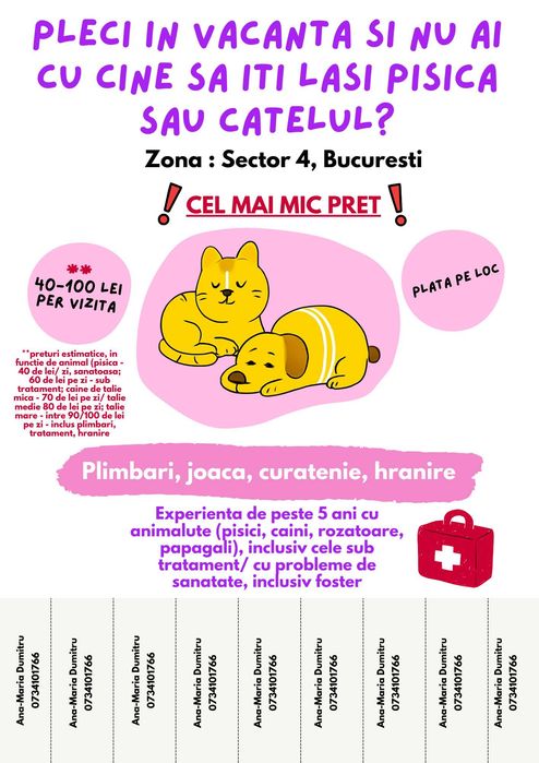 Pet Sitter București Sector 4 – Vizite la domiciliu pentru pisici și câini | Hrănire, plimbări, tratament |