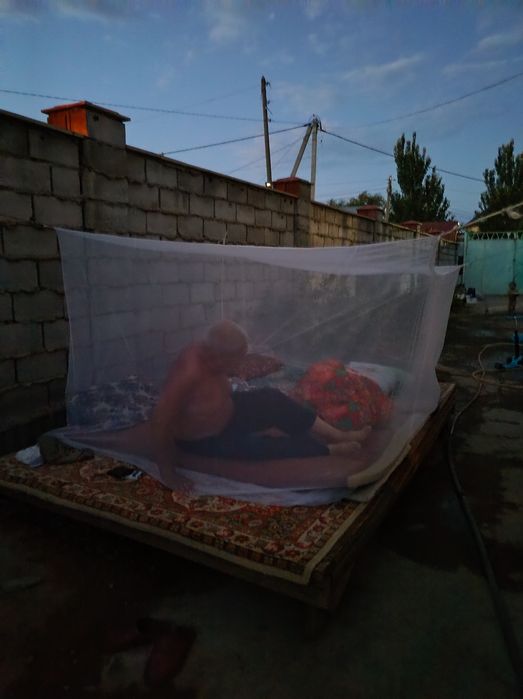 Масахана Масахана