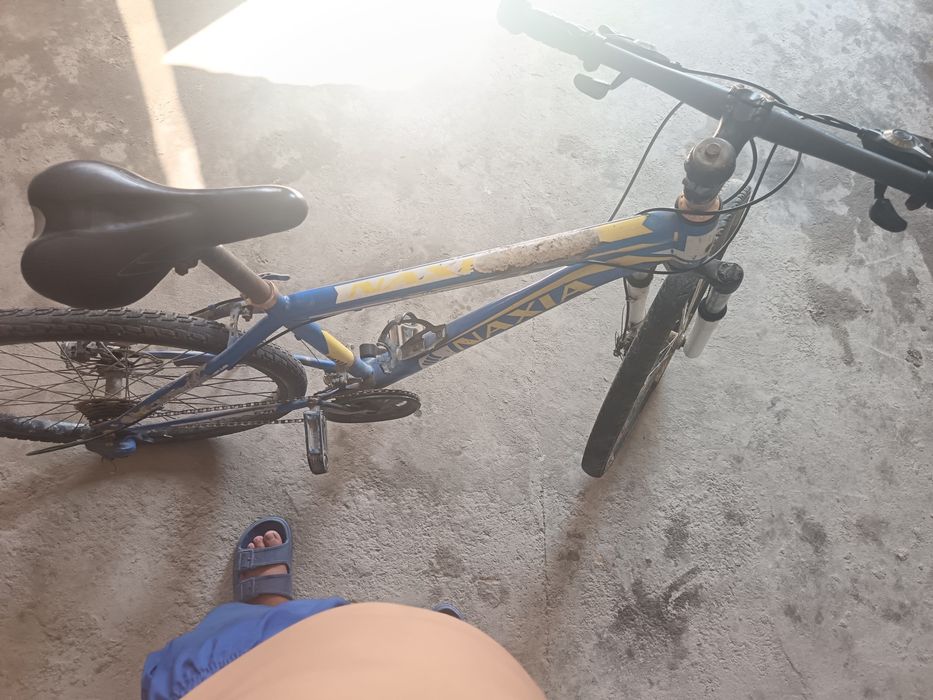 Velosiped xolati orta