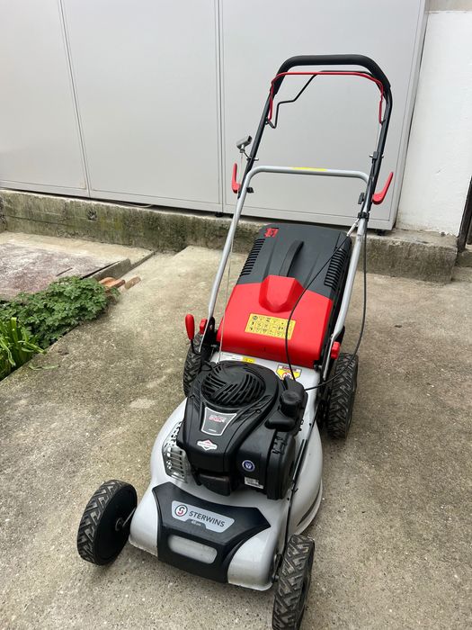 Косачка изключително запазена