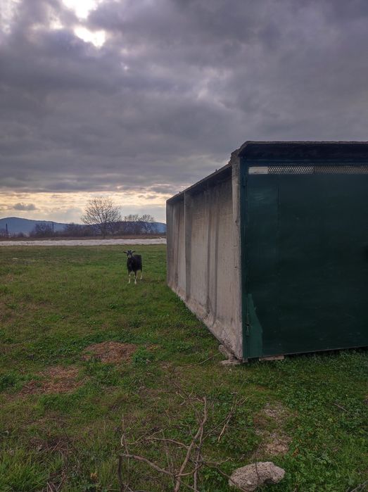 Продава се Гараж / Паркомясто в Казанлък - 18 кв.м за 71 €/кв.м - Снимка #1