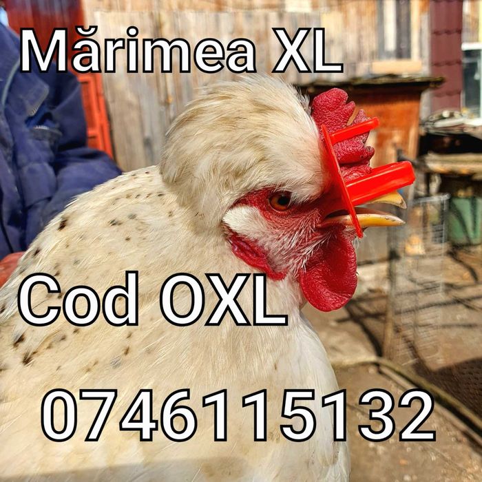 OXL-Ochelari Gaini Pauni Cocosi Fazan Pasari-FARA STRAPUNGERE NAZALA