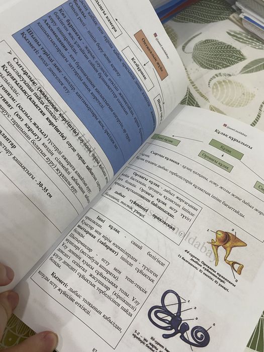 Glucose кітап/ книга