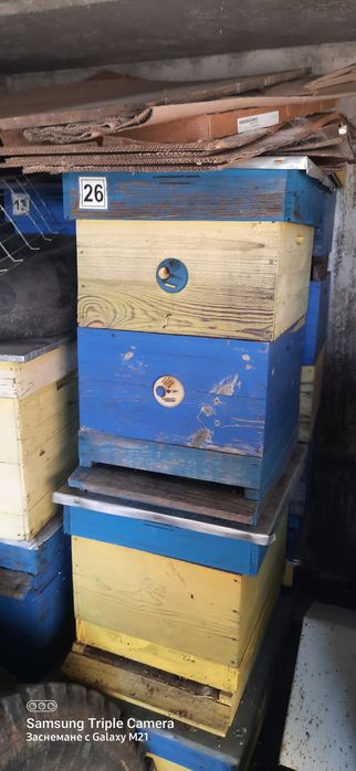 Кошери 10 рамкови