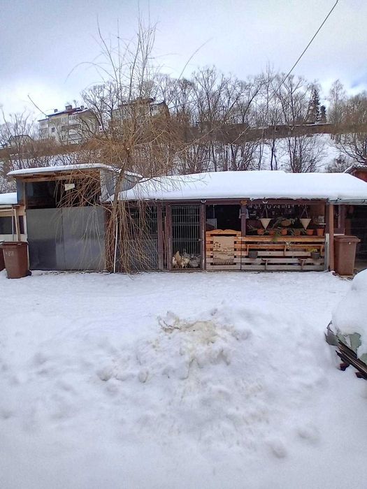 Proprietate deosebită în Vatra Dornei – Apartament 2 camere + garaje și spații multiple