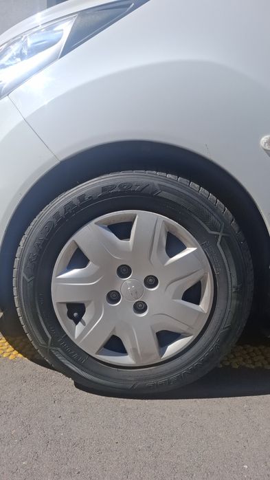 Minnell radial shinasi