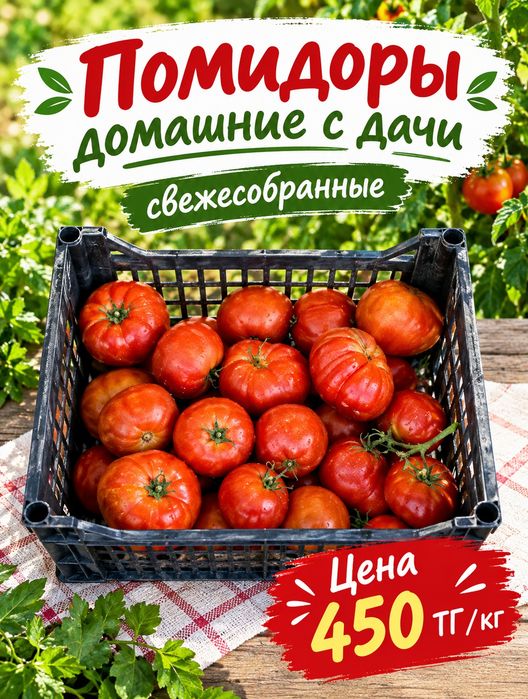 Продам домашние помидоры