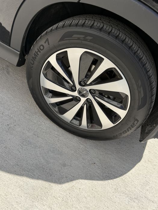 Byd chempion gibrid 150