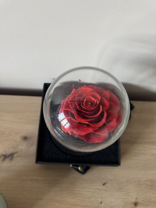 Вечна червена роза