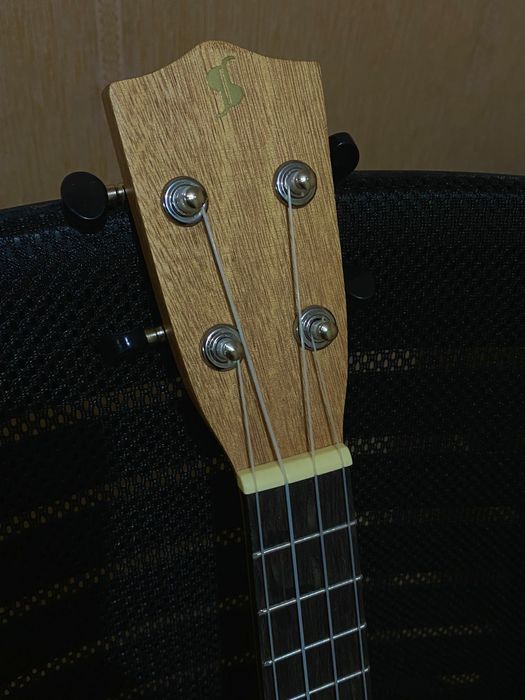 Укулеле Концерт