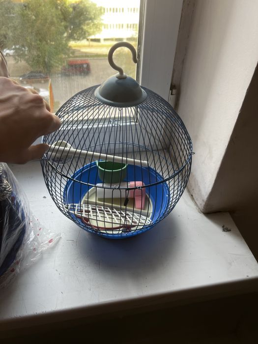 Сетка для папугая