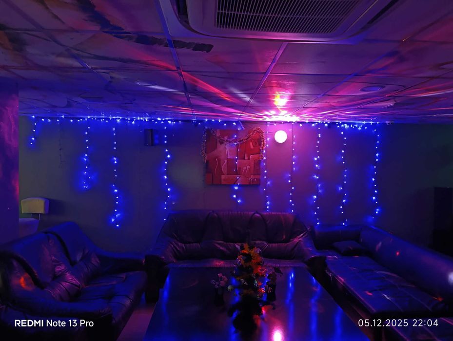 Коледни LED лампички за елха