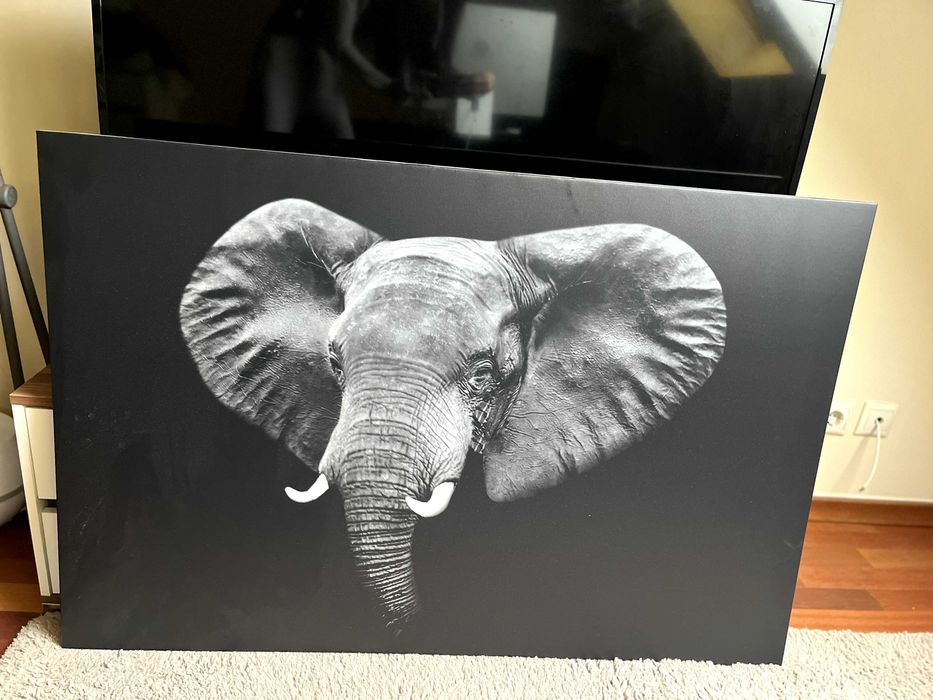 Картина Слон Икеа
