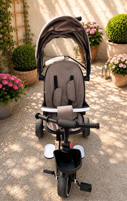 Детска триколка Chipolino - Max Sport