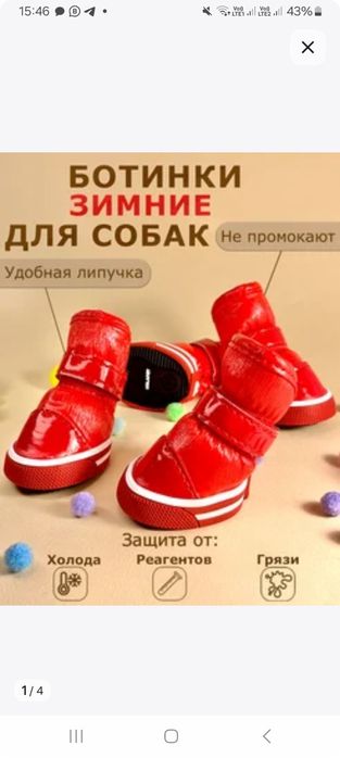 Продам ботинки для собак