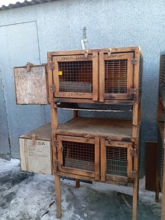 Клетки для кроликов !